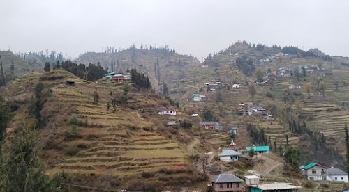 Gadagushaini