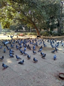 West Vinod Nagar Local Park
