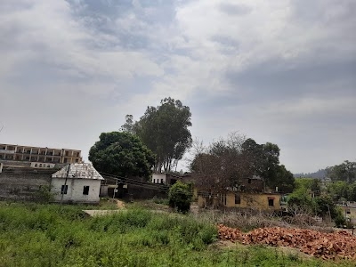 Barsar
