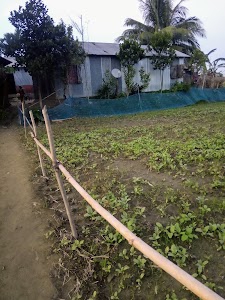Sikatari Pt I