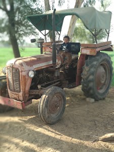 Dogra