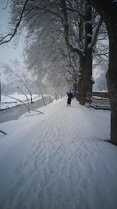Narayan Bagh