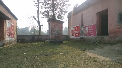 Sonaul School