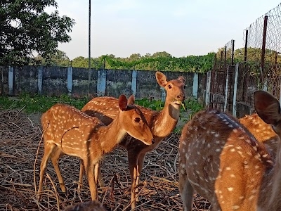 Barduari Deer Park