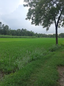 प्राचीन मंदिर कमालपुर