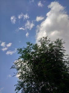 Kamalpur
