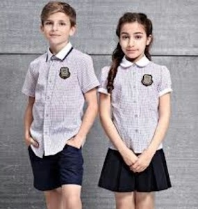 C V Kul Sewa Sansthan
