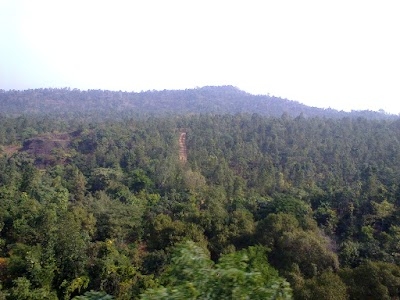 Paharpur