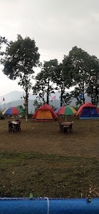 Nangdala Tea Garden