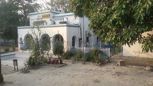 Umar Tali