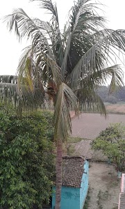 Malmaliya Petrol Pump