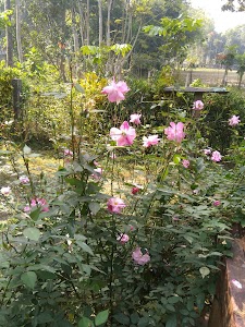Ghoshpur