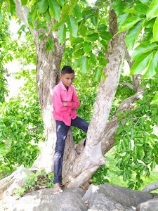 Narala