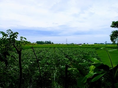 Debpukur