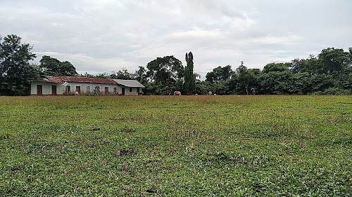 Bir Chandra para Playground