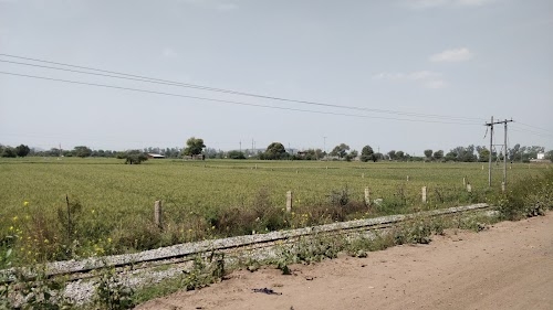 Rairu
