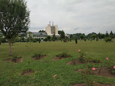 Kashmir university