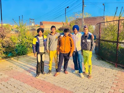 5911 Da pind