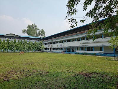 Islampur College