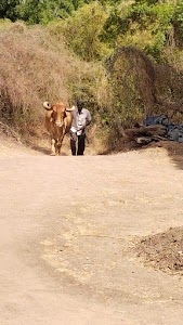 જે એમ વેકરીયા