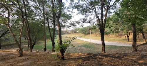 Playgroud