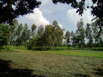 Haragach