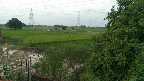 Bhartpur