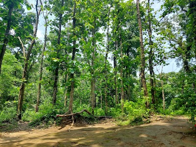 Lataguri Forest Range Office 2