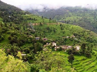 Garhwal Poultry Farms
