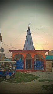 Karua mor