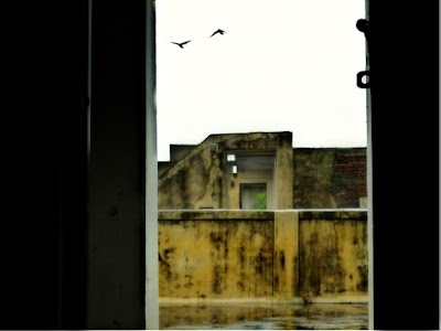Maruti Vihar, Maruti Housing Colony, Sector 28