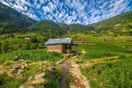Barpora