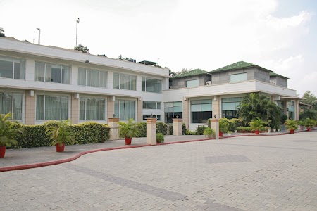 Opulent Motel