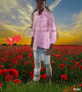 Telari