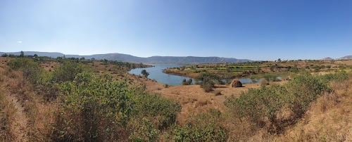 Camp Leon