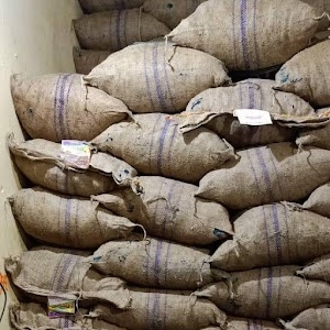 Asif feeds (khal-churi)