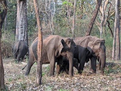 Nagarahole Forest Checkpost