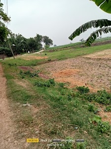 কদমতলা বিলের ধার