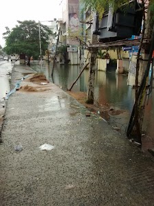 Tansi Nagar, Velachery