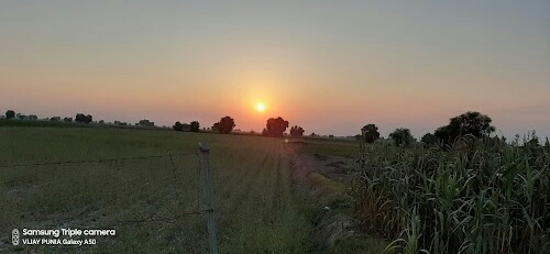 RAJASTHAN E-SARVICES