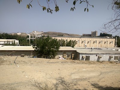 Mohammed Bin Laden Company شركة محمد بن لادن