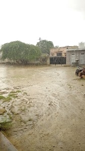 Choudhary farmhouse