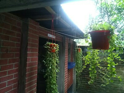 Moula Baksh Cottage