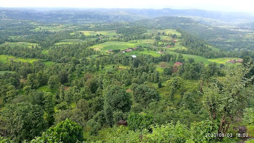 Kolvera