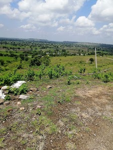 Jeevangi