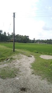 Bengkandi