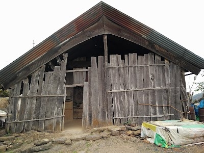 Meriema