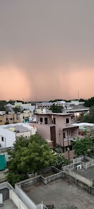 Nature City