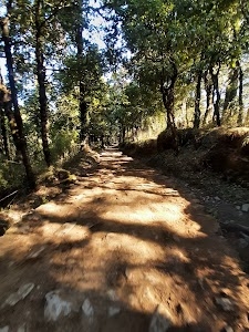 Tiffin top Trek Start point