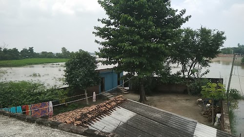 Birdipur